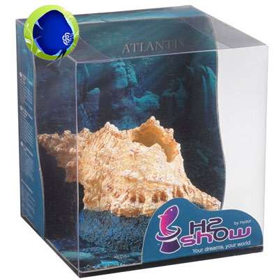 H2SHOW Atlantis Mušla